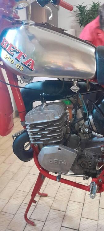 Betamotor 250 GS