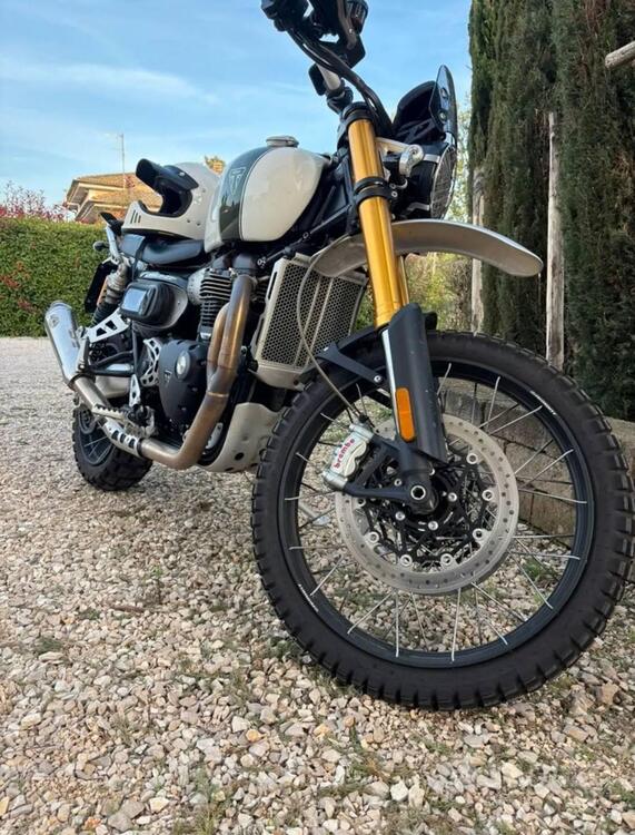 Triumph Scrambler 1200 XE (2019 - 20) (4)