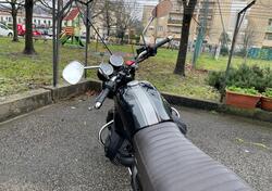 Moto Guzzi V7 III Special (2017 - 20) usata