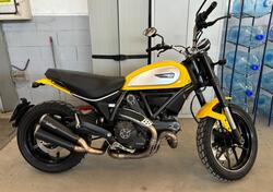 Ducati Scrambler 800 Icon (2015 - 16) usata