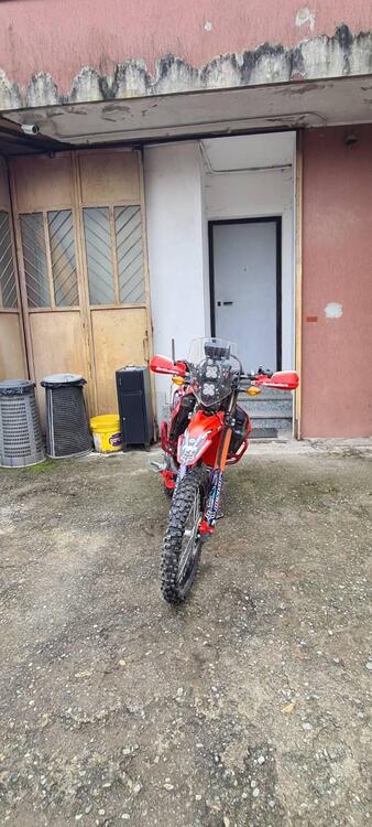 Honda CRF 300 L (2021 - 24) (2)