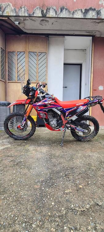 Honda CRF 300 L (2021 - 24) (4)