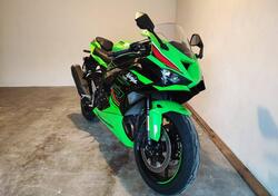 Kawasaki Ninja 636 ZX-6R (2024 - 25) usata