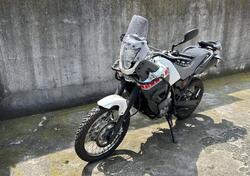 Yamaha XT 660 Z Ténéré (2008 - 16) usata