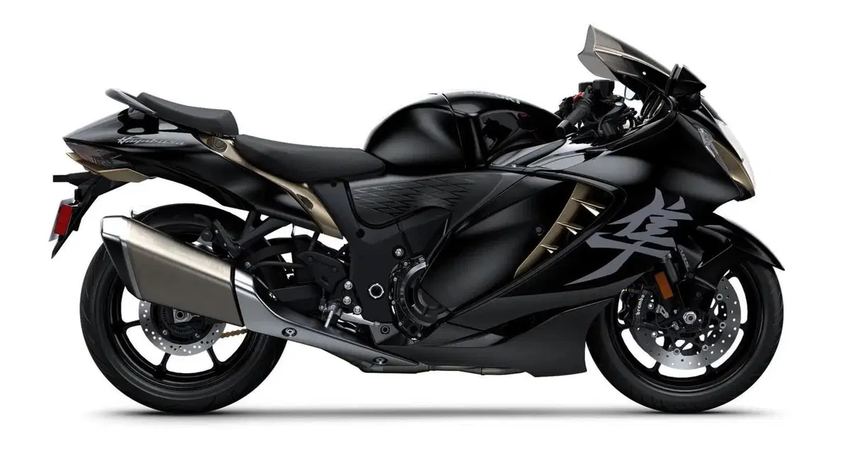 Suzuki GSX 1300 R Hayabusa (2025) (3)