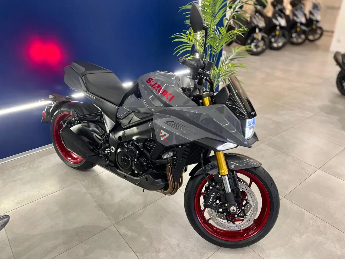 Suzuki Katana 1000 (2022 - 26) (2)