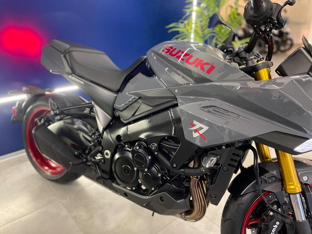 Suzuki Katana 1000 (2022 - 24) (5)