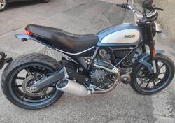 Ducati Scrambler 800 Icon (2017 - 20) usata