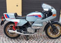 Ducati DUCATI PANTAH 500 1981 d'epoca