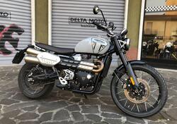 Triumph Scrambler 1200 X (2024 - 25) usata