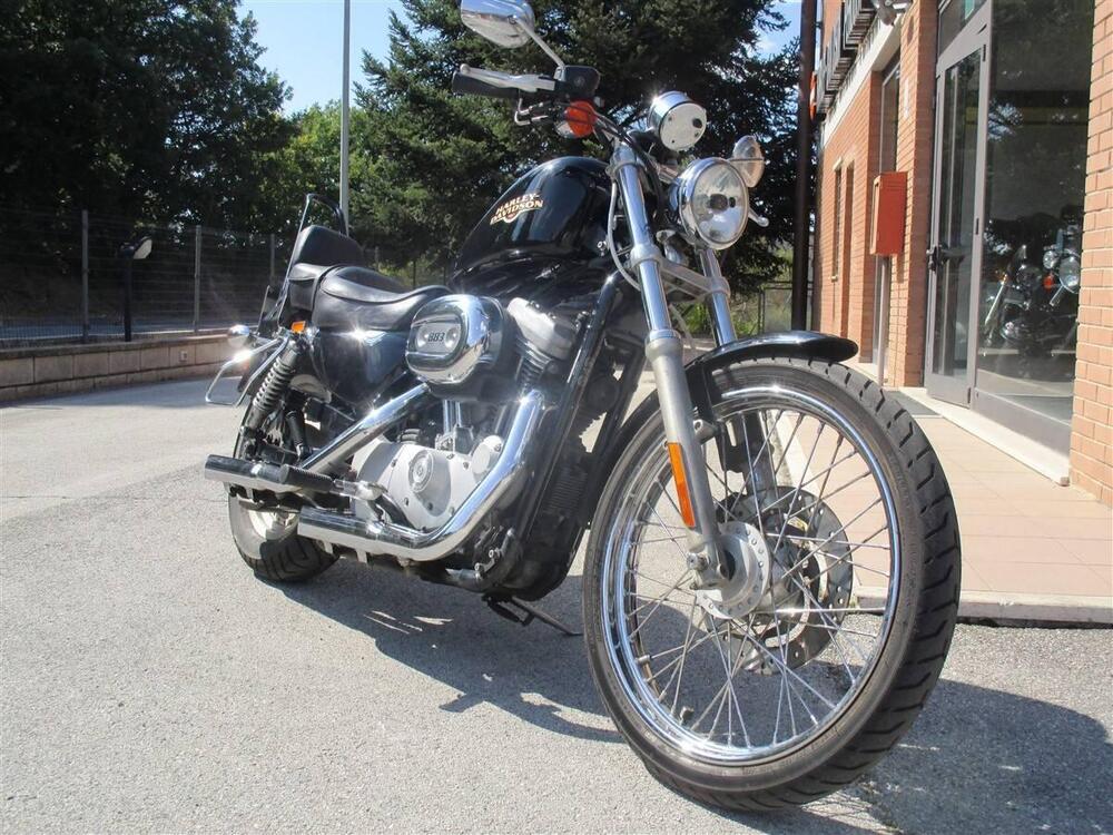 Harley-Davidson 883 Custom (2001 - 05) - XL 53C (2)