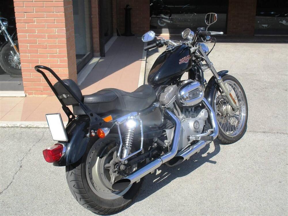 Harley-Davidson 883 Custom (2001 - 05) - XL 53C (5)