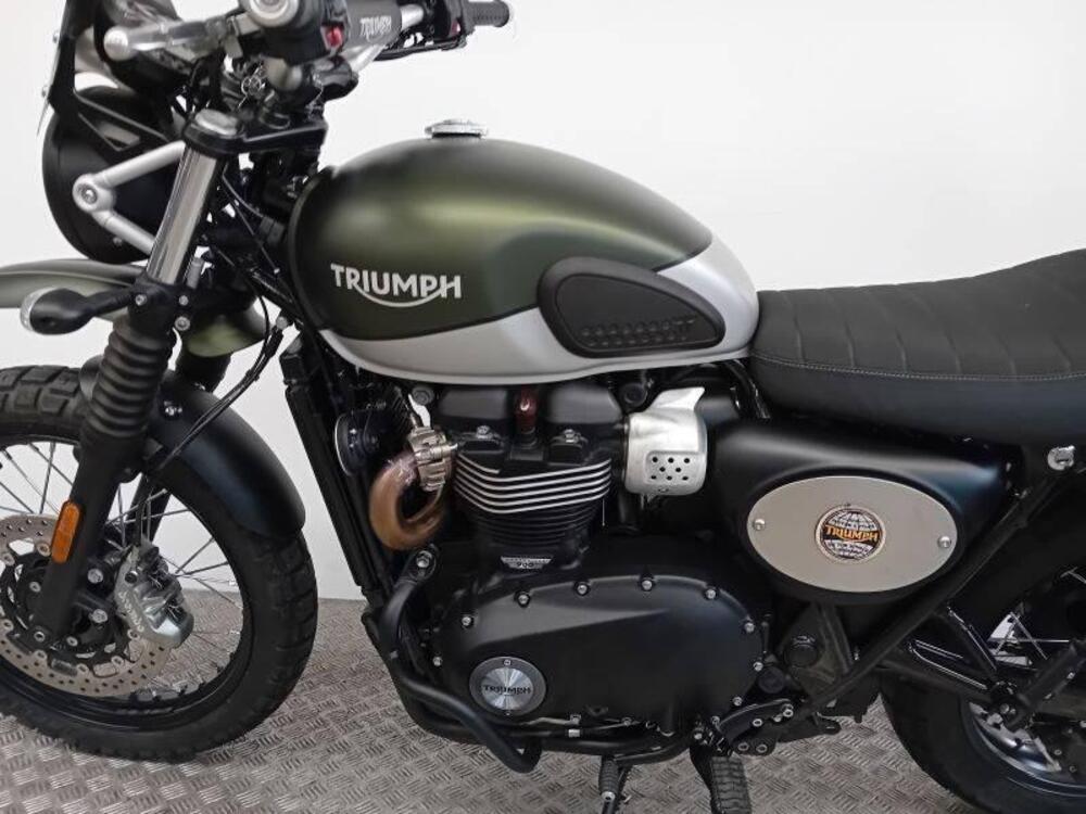 Triumph Street Scrambler 900 (2019 - 20) (5)