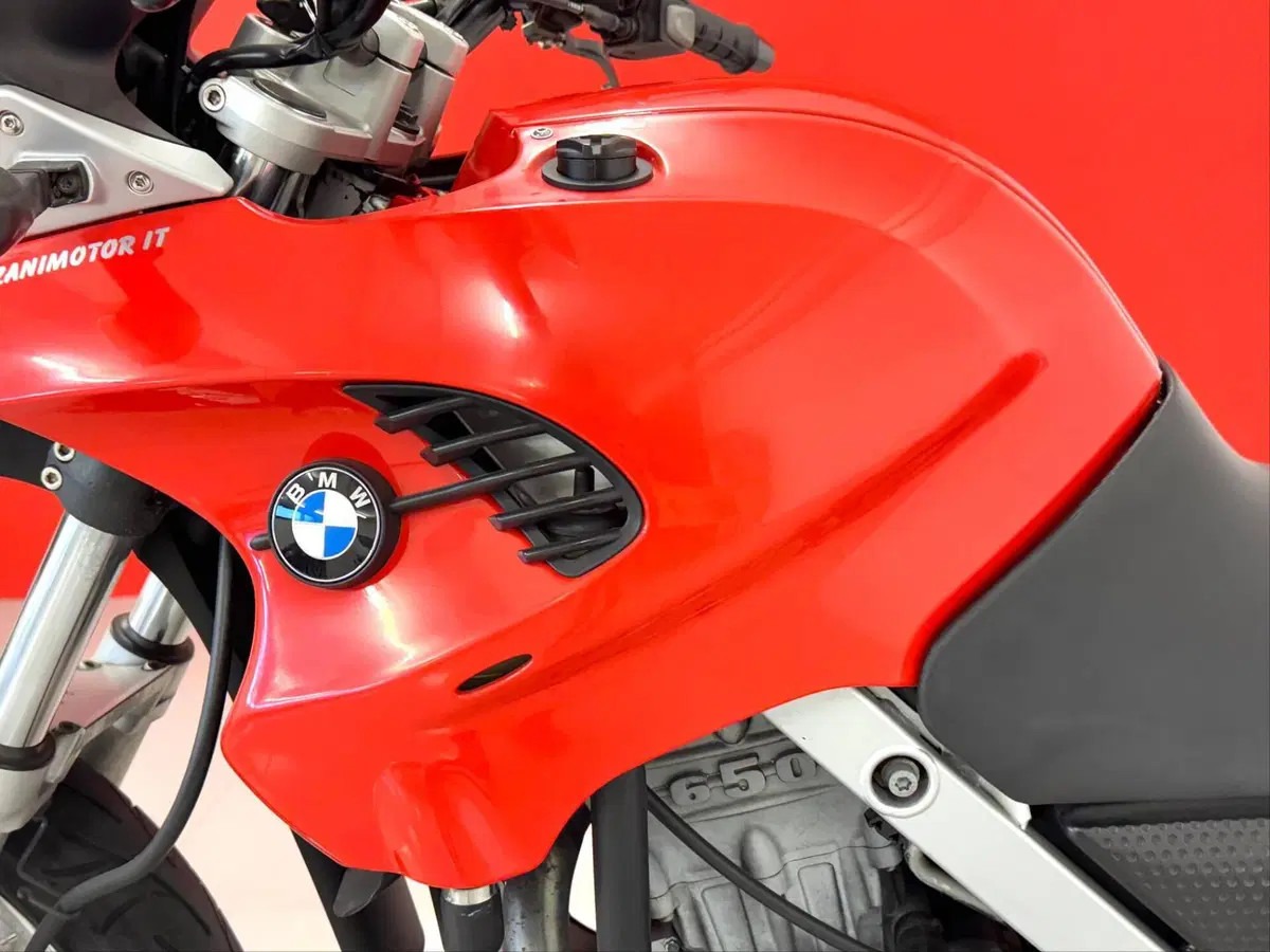Bmw F 650 GS (2000 - 03) (15)