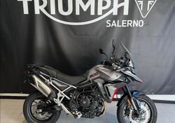 Triumph Tiger 900 GT (2024 - 25) usata