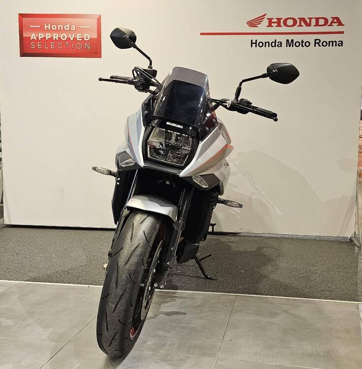 Suzuki Katana 1000 Jindachi (2019 - 20) (3)