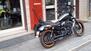 Harley-Davidson 1200 Custom (2007 - 13) - XL 1200C (14)