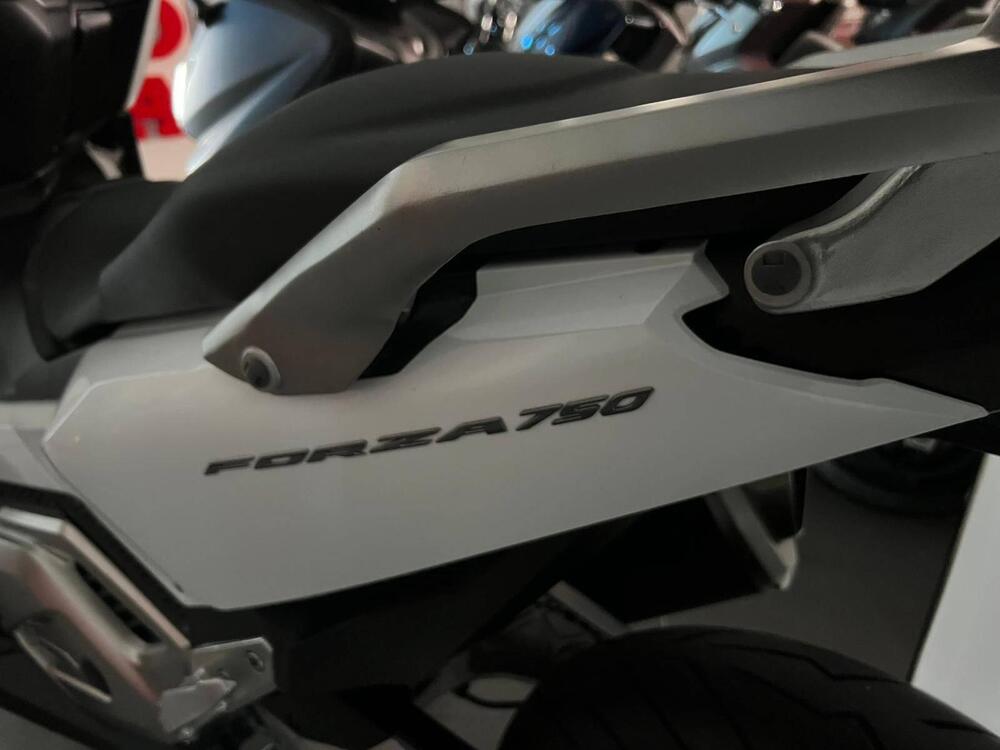 Honda Forza 750 DCT (2021 - 24)