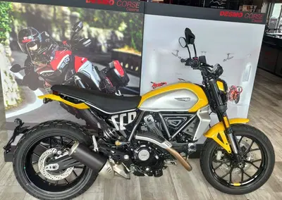 Ducati Scrambler 800 Icon (2023 - 24) nuova