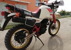 Yamaha XT 600 Tenerè d'epoca