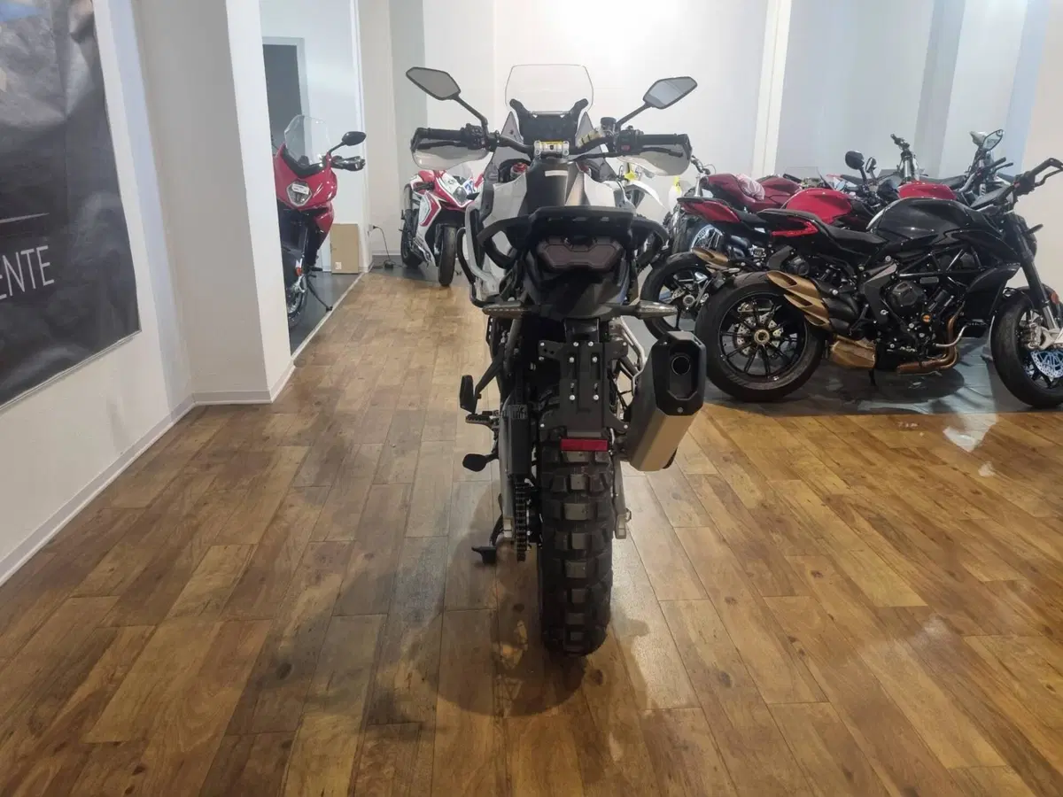 MV Agusta LXP Orioli (2024 - 26) (5)