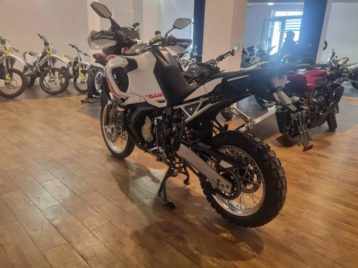 MV Agusta LXP Orioli (2024 - 26) (6)