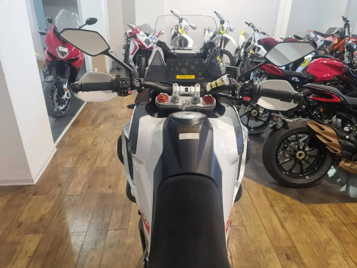 MV Agusta LXP Orioli (2024 - 26) (13)