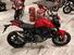 Ducati Monster 937 + (2021 - 25) (11)