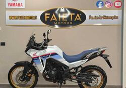 Honda Transalp XL750 (2023 - 24) usata