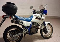 Honda NX 650 Dominator (1988 - 90) usata