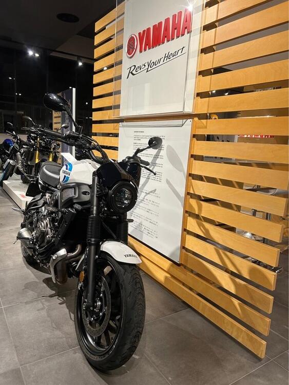 Yamaha XSR 700 (2022 - 25) (4)