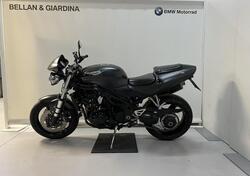 Triumph Speed Triple 955 (1998 - 01) usata