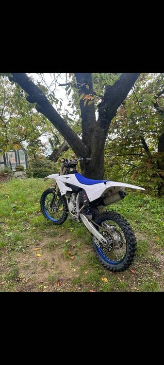 Yamaha YZ 125 (2023) (5)