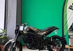 Benelli Leoncino 250 (2021 - 25) nuova