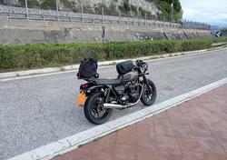 Triumph Speed Twin 900 (2023 - 24) usata