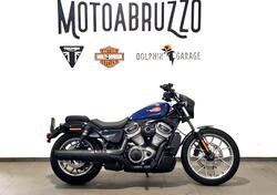 Harley-Davidson Nightster Special (2023 - 25) usata