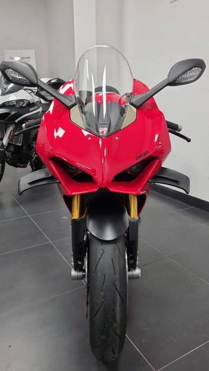 Ducati Panigale V4 S (2022 - 24) (3)