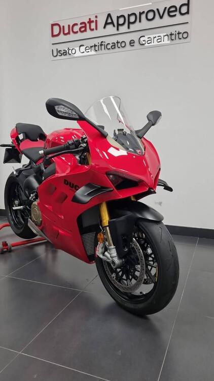 Ducati Panigale V4 S (2022 - 24) (5)