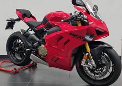 Ducati Panigale V4 S (2022 - 24) usata