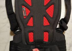 Paraschiena Alpinestar Nucleon KR-1 Alpinestars