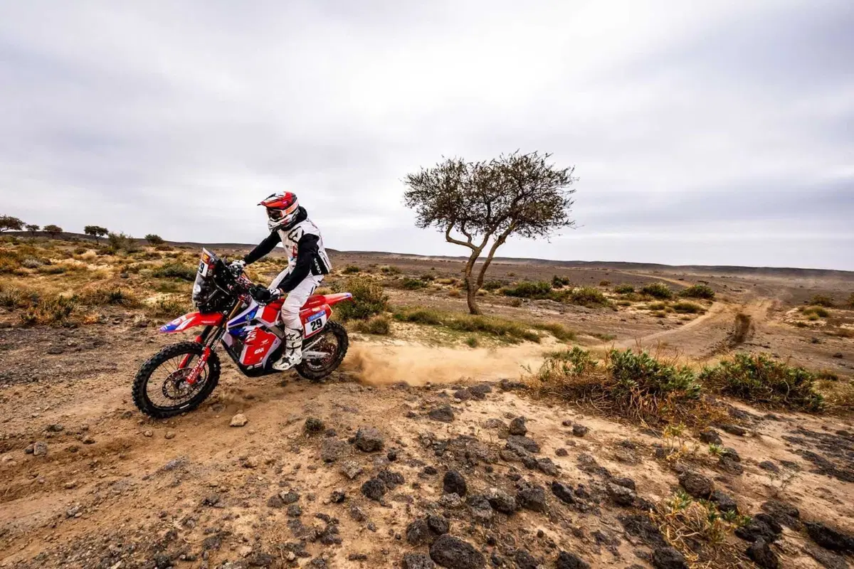Dakar 2025. T5, Si chiude la Marathon e la prima parte della Dakar. In testa Sanders, KTM, e Lategan, Toyota [VIDEO] (16)