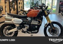 Triumph Scrambler 1200 XE (2024 - 25) nuova