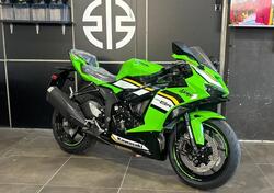 Kawasaki Ninja 636 ZX-6R (2024 - 25) nuova