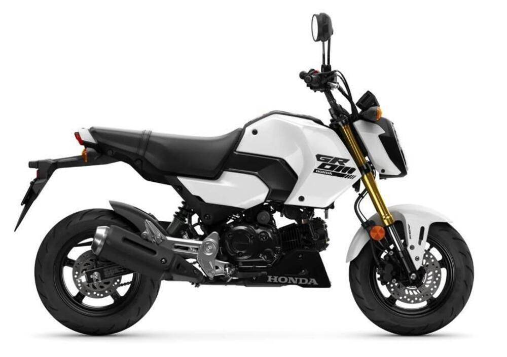 Honda MSX 125 Grom (2021 - 25)