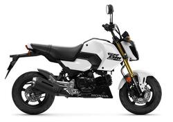 Honda MSX 125 Grom (2021 - 25) nuova