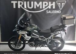 Triumph Tiger 1200 Rally Pro (2022 - 23) usata