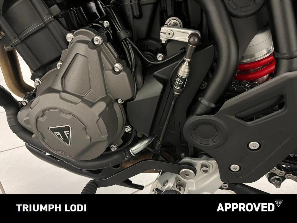 Triumph Tiger 900 GT Pro (2020 - 23) (5)