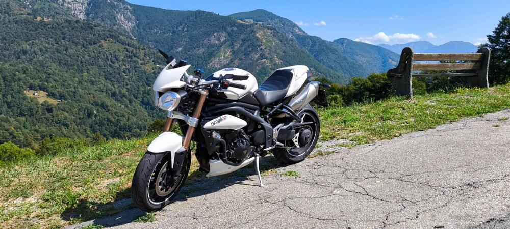 Triumph Speed Triple 1050 ABS (2011 - 15) (3)