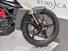 Bmw G 310 GS (2021 - 25) (14)