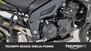 Triumph Tiger 1050 Sport ABS (2013 - 15) (17)